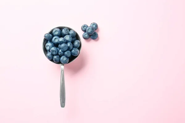 Pot with ripe blueberry on color background — Stock Photo, Image