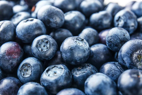 Many ripe blueberry, closeup view — Stock Photo, Image