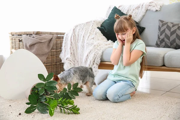 Menina bonito com cão e planta de sala caiu no tapete — Fotografia de Stock