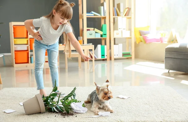 Little girl scolding dog for mess in room — Stock Photo, Image