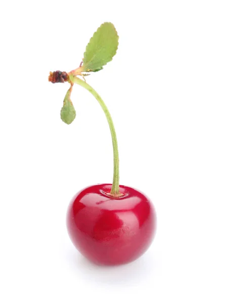 Tasty ripe cherry on white background — Stock Photo, Image