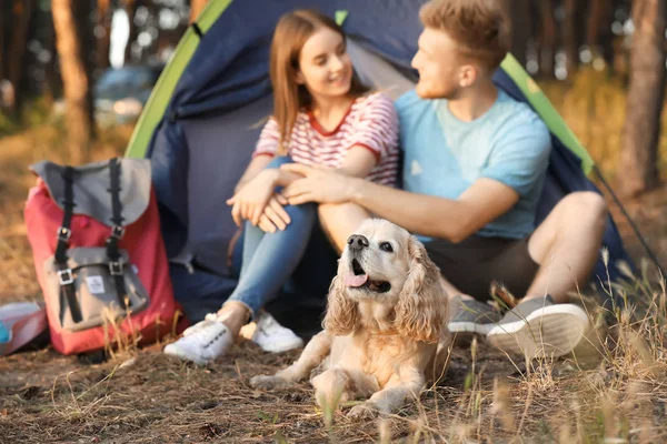 Young couple with cute dog spending weekend in forest — Stock Photo, Image