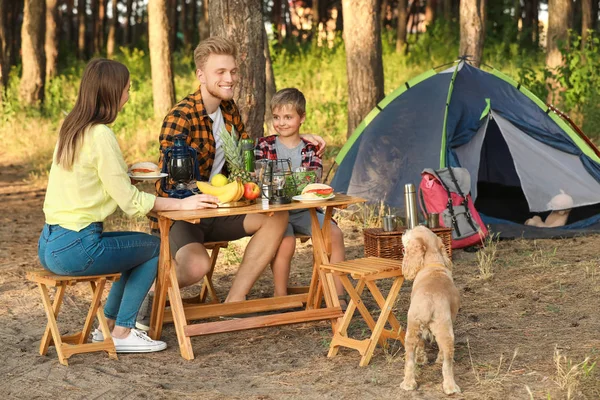 Famiglia felice che fa picnic nella foresta — Foto Stock
