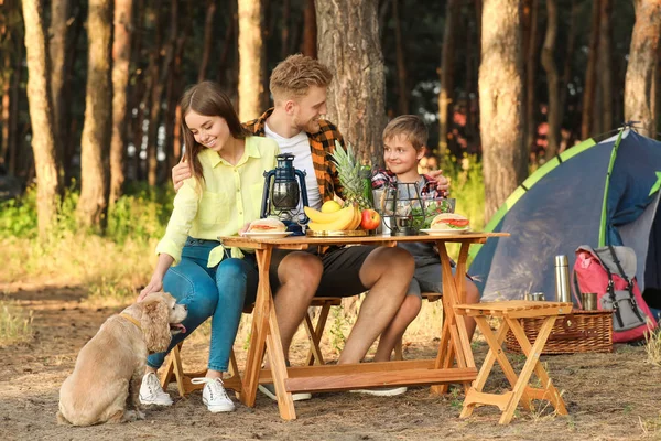 Famiglia felice che fa picnic nella foresta — Foto Stock