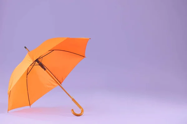 Parapluie élégant sur fond de couleur — Photo