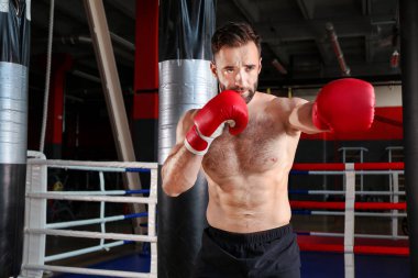Spor salonunda sportif boksör eğitimi