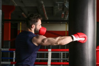Spor salonunda punch bag ile sportif boksör eğitim