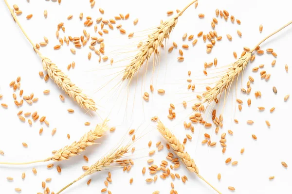 Épillets de blé avec grains sur fond blanc — Photo