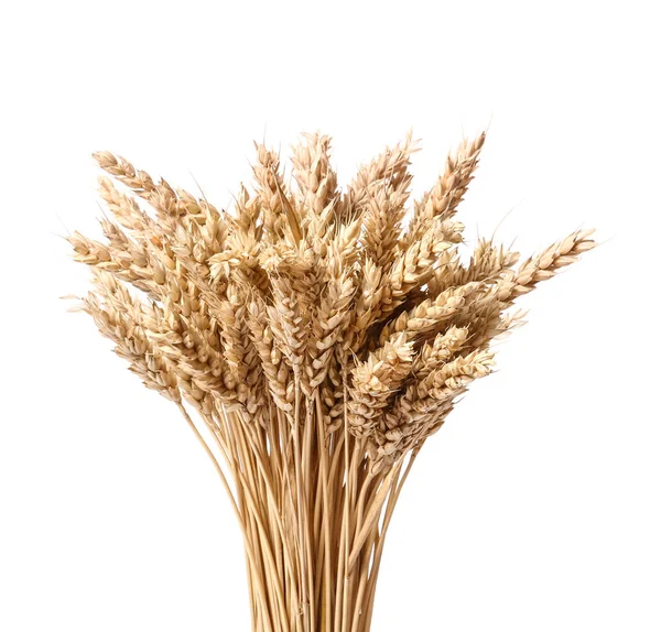 Wheat spikelets on white background — Stock Photo, Image