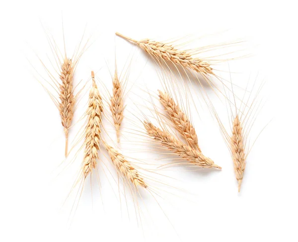 Wheat spikelets on white background — Stock Photo, Image