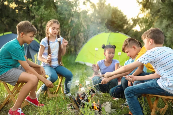 Bambini che arrostiscono il marshmallow in fiamme al campo estivo — Foto Stock