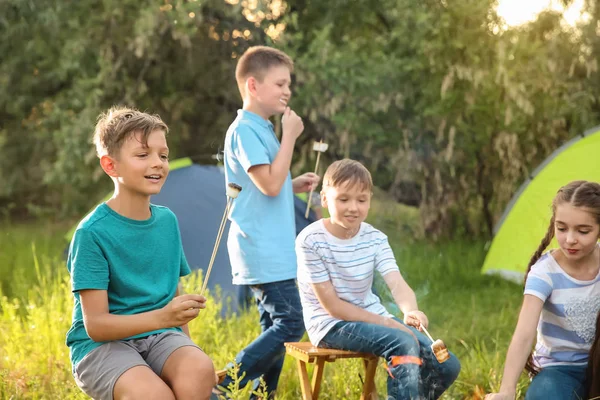 Bambini che arrostiscono il marshmallow in fiamme al campo estivo — Foto Stock