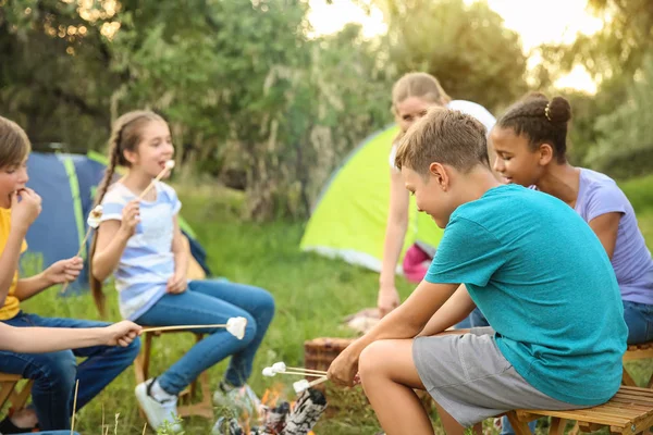 Bambini che arrostiscono il marshmallow in fiamme al campo estivo — Foto Stock