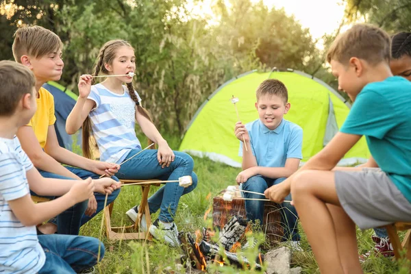 Bambini che arrostiscono il marshmallow in fiamme al campo estivo — Foto Stock