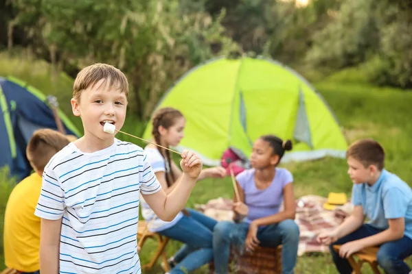 Ragazzino con marshmallow su bastone al campo estivo — Foto Stock