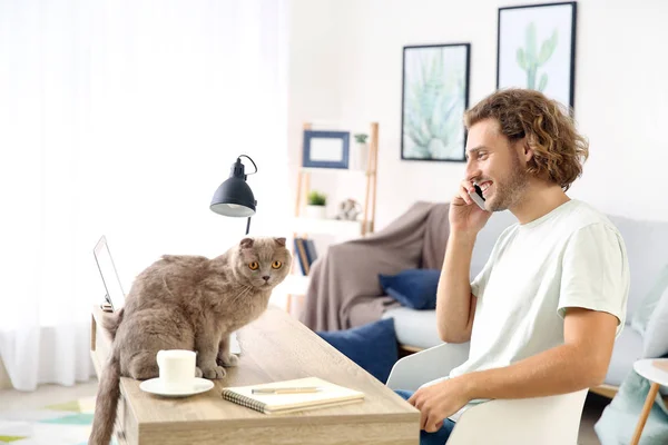 Man with cute funny cat working at home — Stock Photo, Image