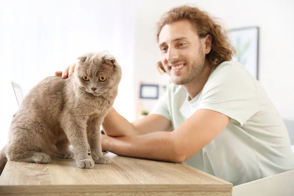 Man with cute funny cat working at home — Stock Photo, Image