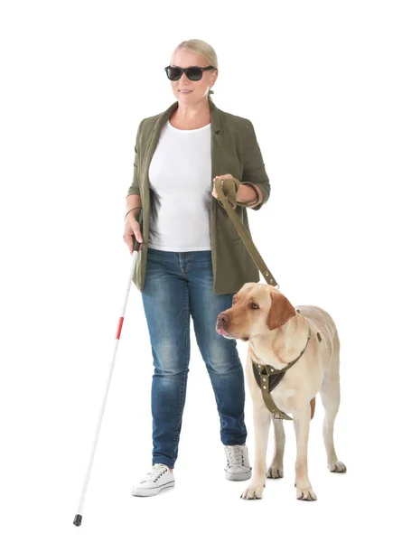 Blind mature woman with guide dog on white background — Stock Photo, Image