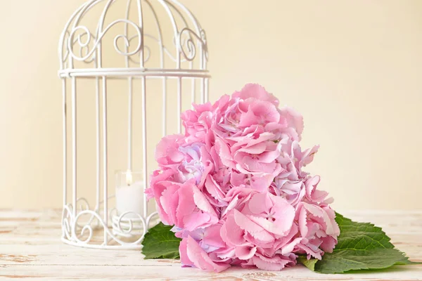 Vackra hortensia blommor och dekorativa bur på träbord — Stockfoto