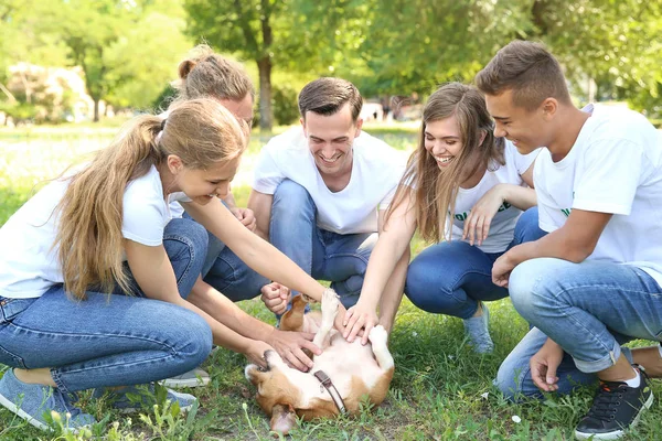 Група волонтерів з милою собакою на відкритому повітрі — стокове фото
