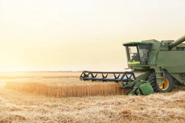 Combine harvester in wheat field — Stock Photo, Image