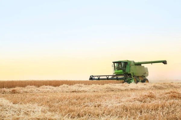 Combinar cosechadora en campo de trigo — Foto de Stock
