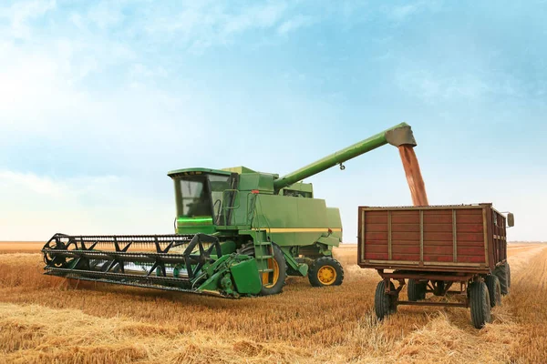 Combinar cosechadora en campo de trigo — Foto de Stock