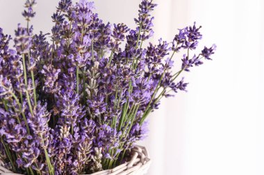 Vazoda güzel lavanta çiçekleri, closeup