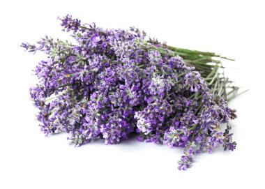 Beyaz arkaplanda güzel lavanta çiçekleri