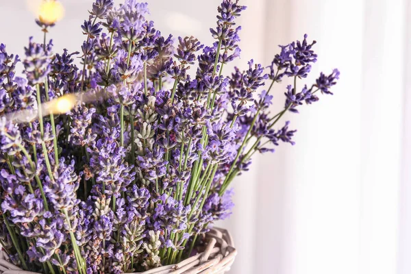 Beautiful lavender flowers in vase, closeup — Stock Photo, Image