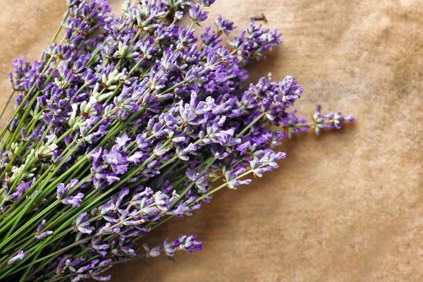 Beautiful lavender flowers on parchment — Stock Photo, Image