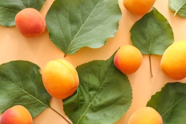 Lezzetli olgun kayısı ve renk arka planda yaprakları