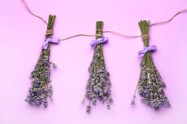 Renk arka planda güzel lavanta çiçek Demetleri
