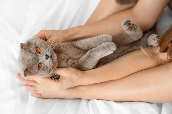 Cute cat with owner in bed — Stock Photo, Image