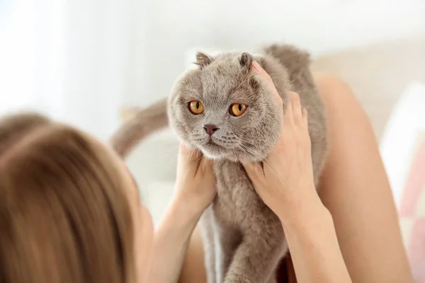 Cute cat with owner lying in bed at home — Stock Photo, Image