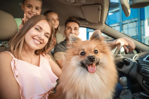 Família feliz com cão viajando de carro — Fotografia de Stock