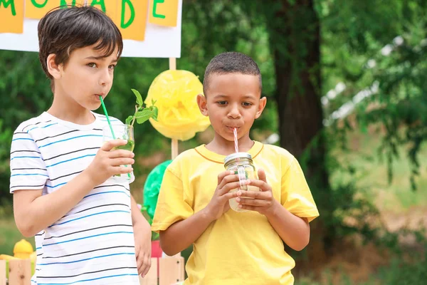 Niedliche kleine Jungen trinken Limonade im Park — Stockfoto
