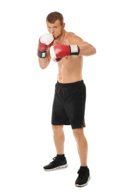 Beyaz arka planda güçlü erkek boksör