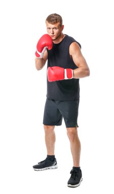 Beyaz arka planda güçlü erkek boksör