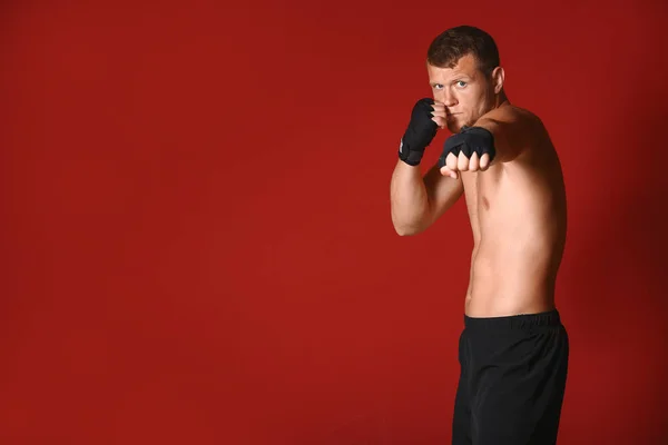 Renkli arka planda güçlü erkek boksör — Stok fotoğraf