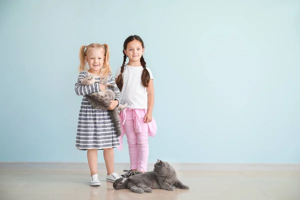 Happy girls with cute cats near light wall — Stock Photo, Image