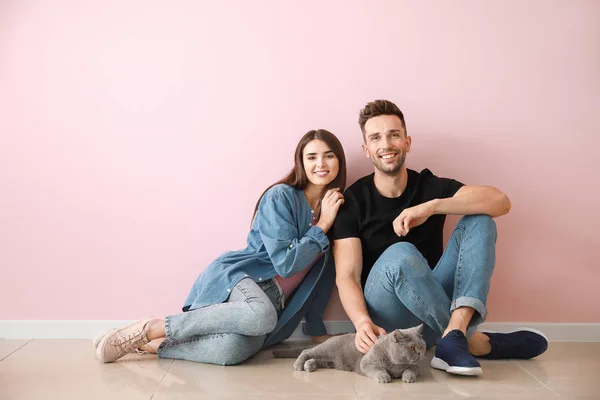 Szczęśliwy para z ładny kot w pobliżu kolor ściana — Zdjęcie stockowe