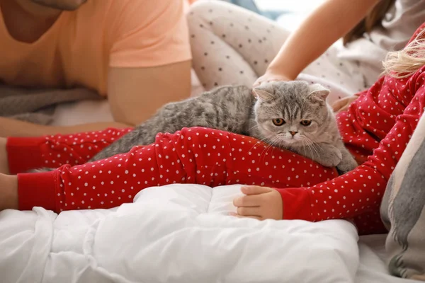 Family with cute cat on bed at home — Stock Photo, Image