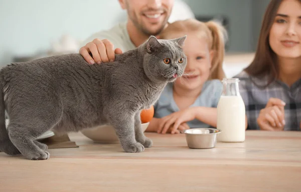 Happy family feeding cute cat in kitchen — Stock Photo, Image