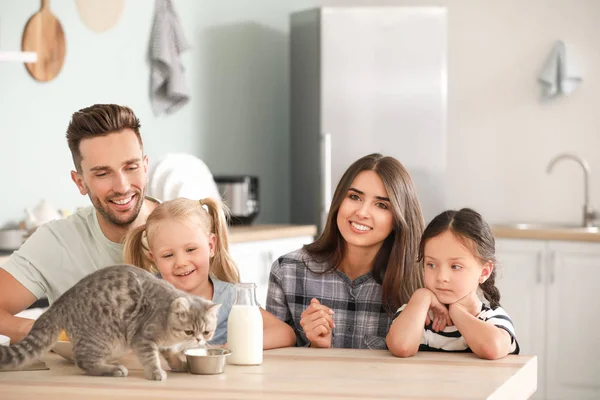 Happy family feeding cute cat in kitchen