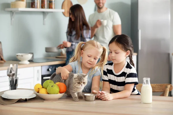 Little girls feeding cute cat in kitchen — Stock Photo, Image