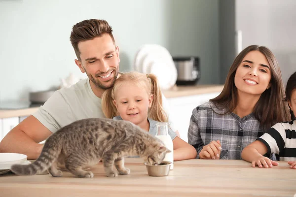 Счастливая семья кормит милого кота на кухне — стоковое фото