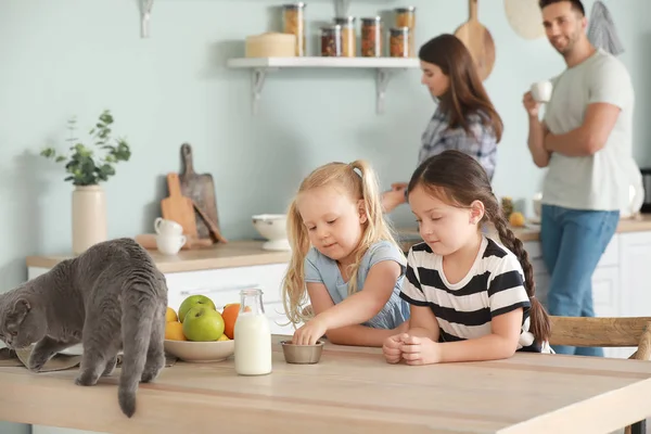 Маленькие девочки с симпатичной кошкой на кухне — стоковое фото