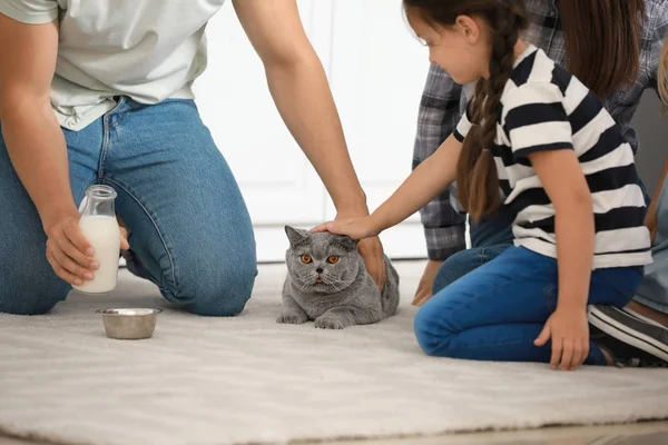 Glückliche Familie füttert süße Katze in Küche — Stockfoto