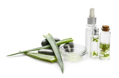 Beyaz arka plan üzerinde uçucu yağ ve spa taşları ile Taze aloe yaprakları